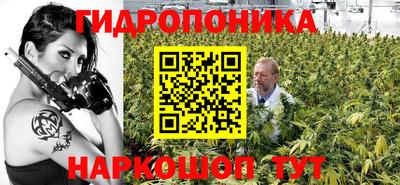 apvp Нарткала