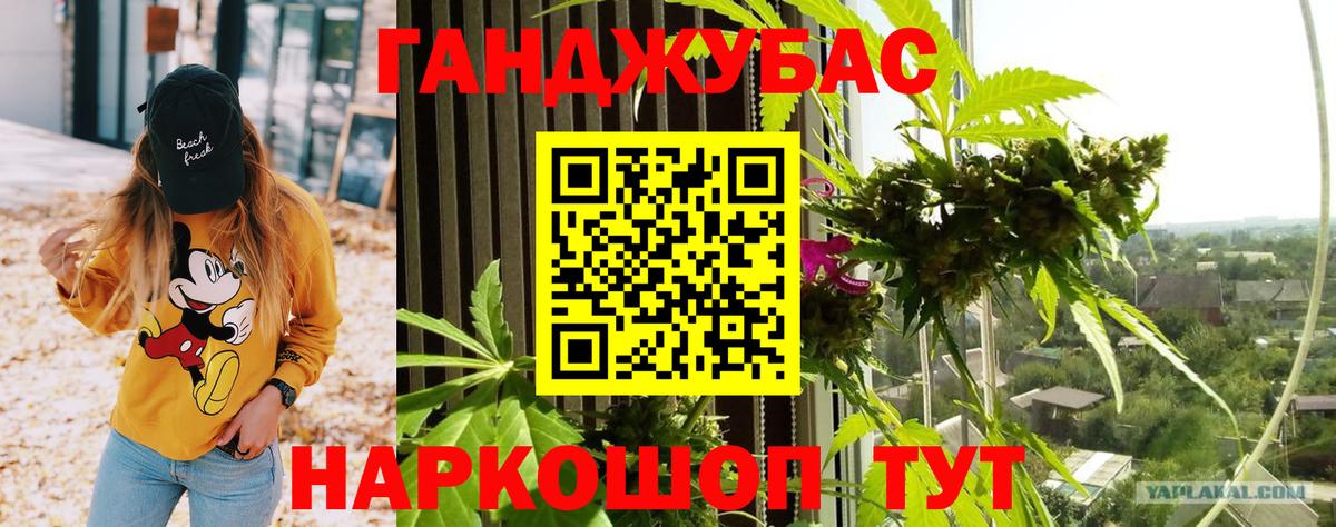 Марихуана план  Вход с VPN  Бошки Шишки марихуана  Шишки марихуана Bruce Banner  Ставрополь 